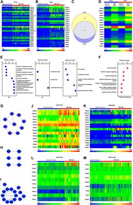 Comprehensive Analysis of TRIM Family Genes in Hepatitis Virus B-Related Hepatoma Carcinoma